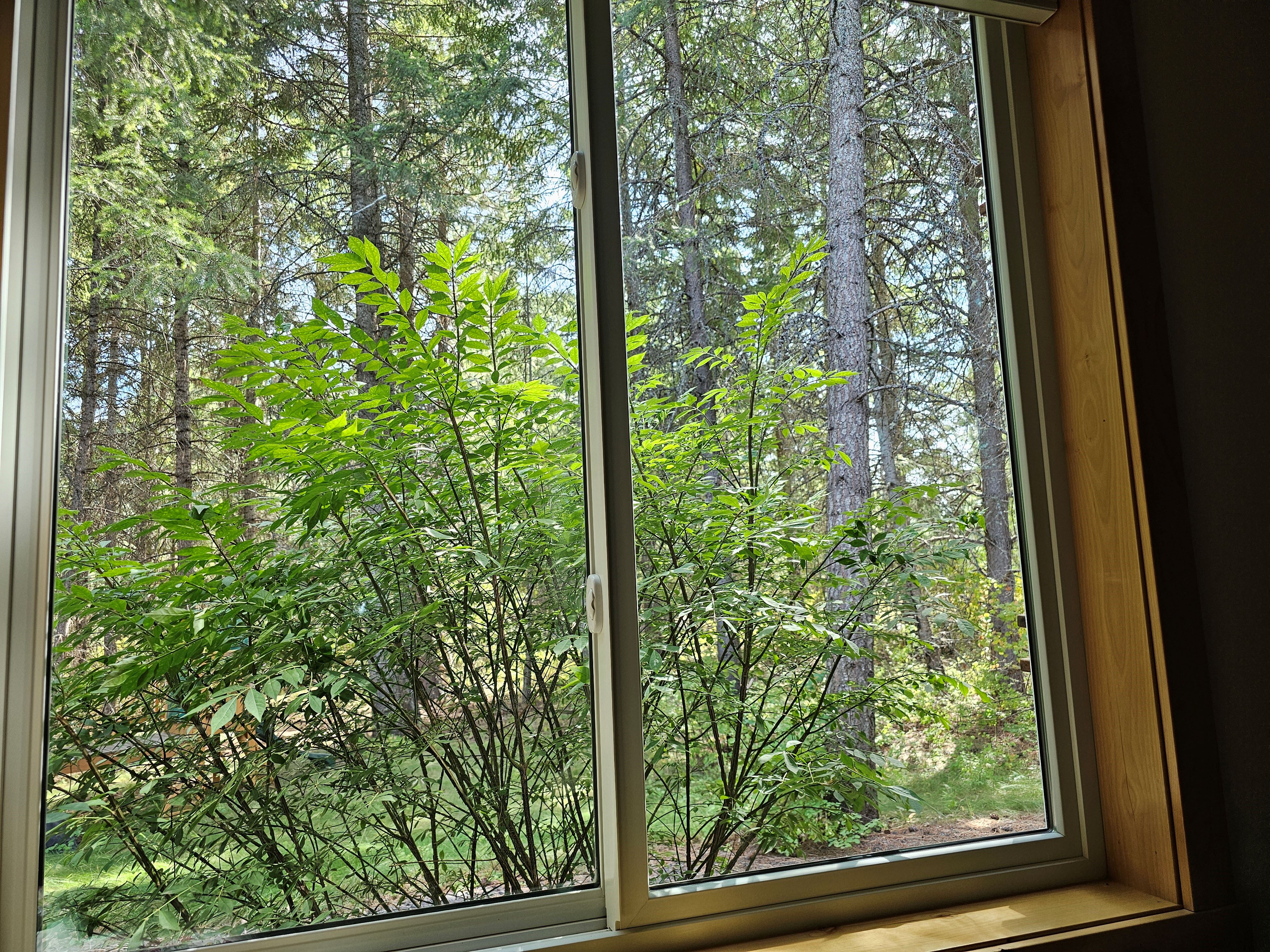 After: Clean view through window