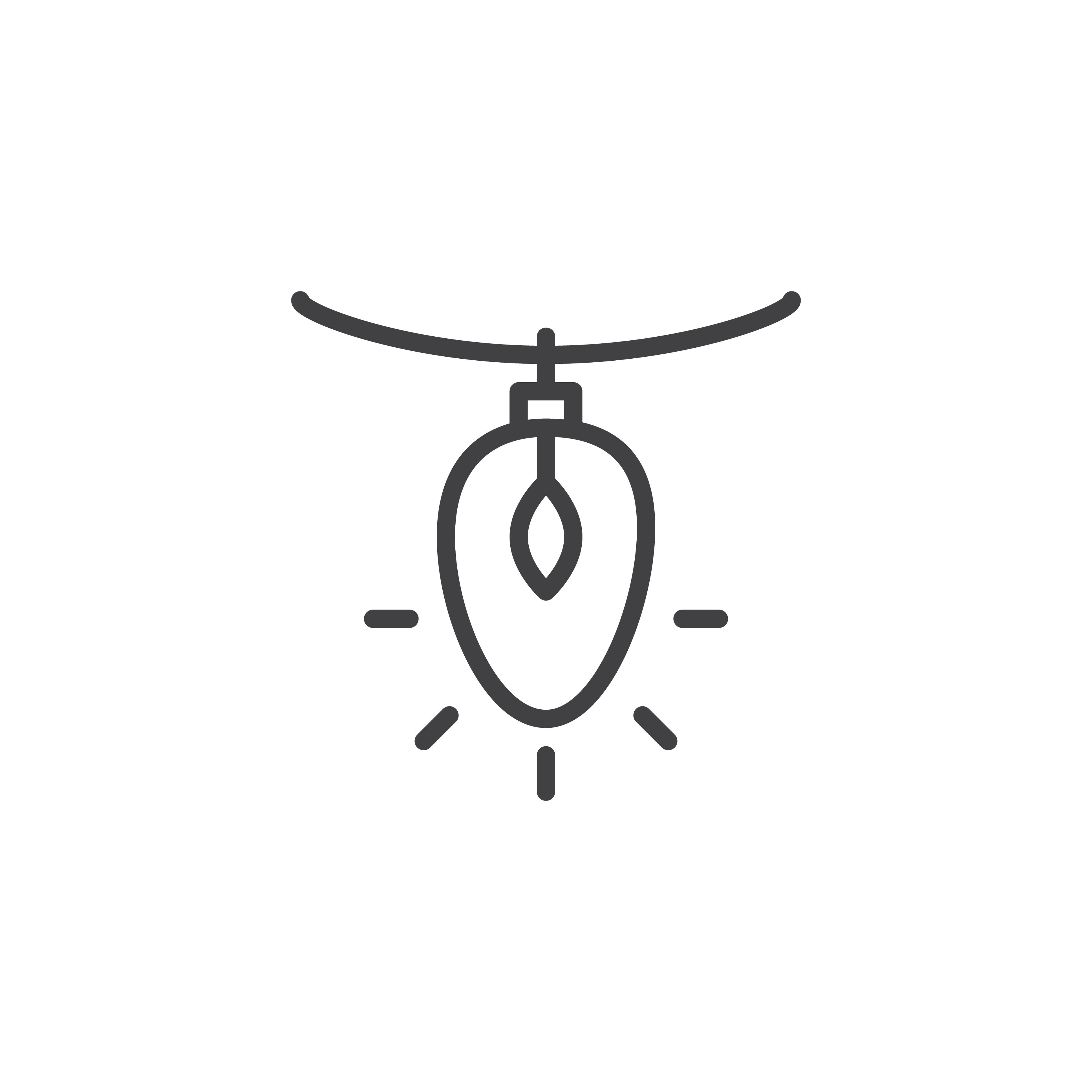 Christmas lights icon