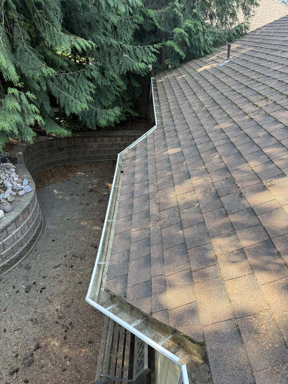 After: Cleaned gutter
