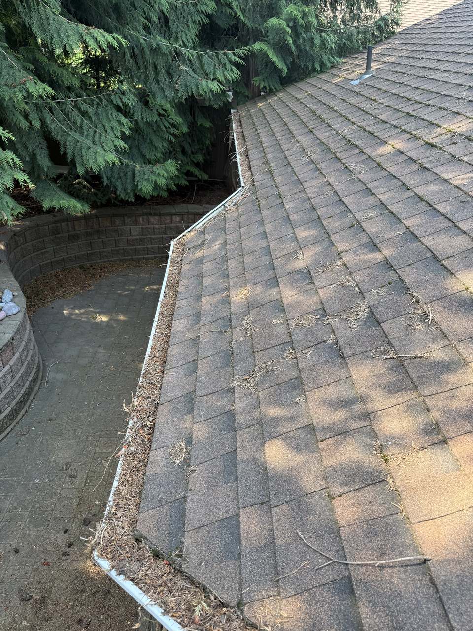 Before: Gutter with debris buildup